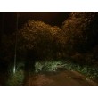 fotografia